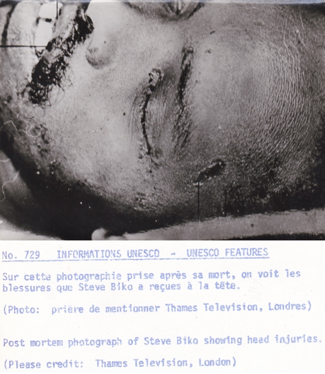 unesco-729-steve